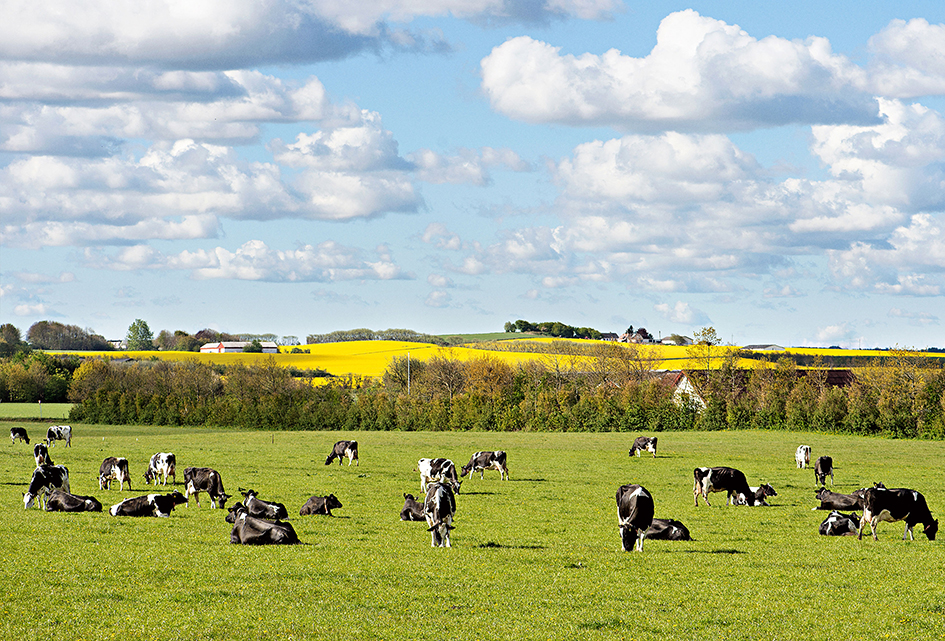 Sydgaarden1 V Ewald Kusk Kristensen 2 Srgb Web