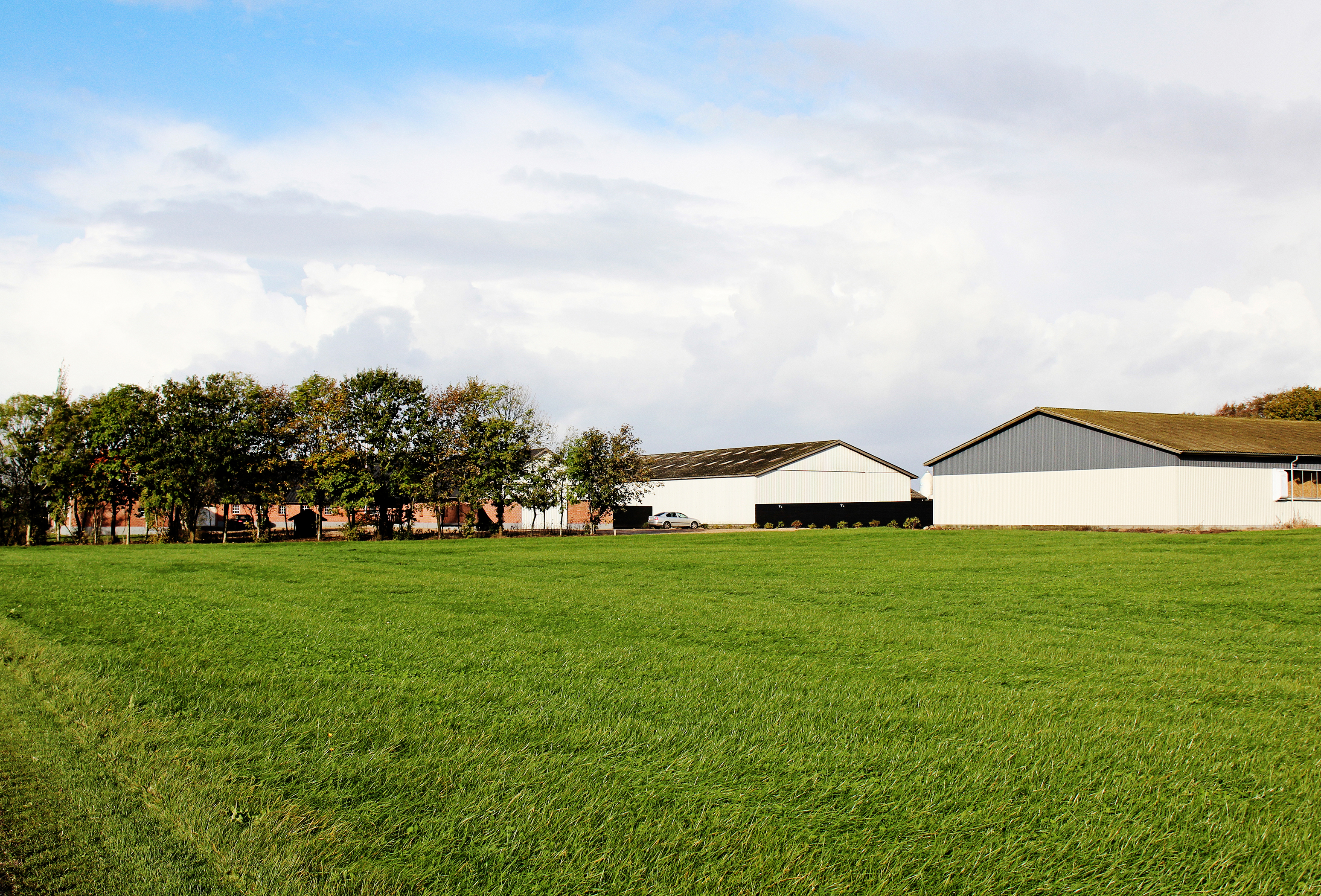 IMG 4442 Vn Srgb Web