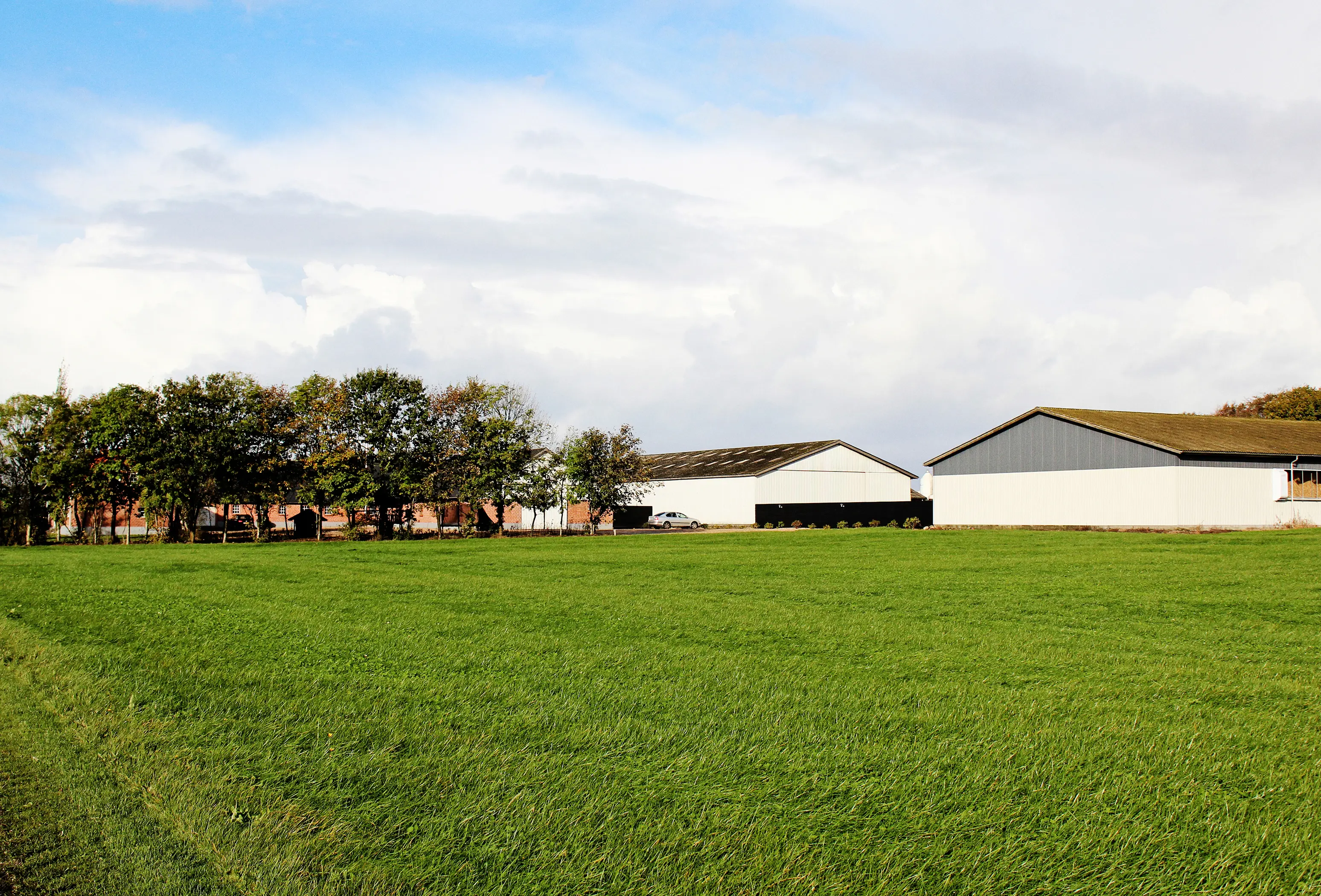 IMG 4442 Vn Srgb Web