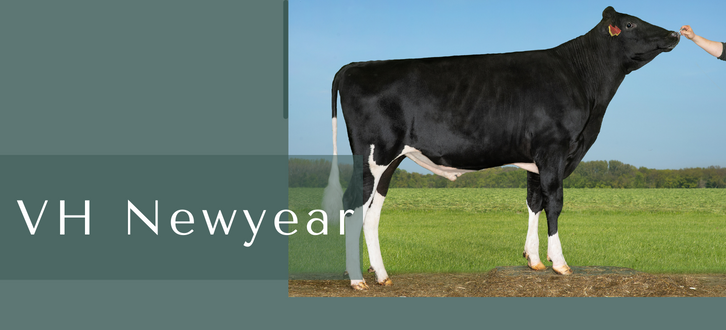 ARTICLE ENTRY TYR (16)