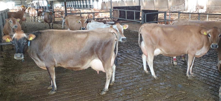 2B70A29B 3283 498D AC67 98E6C8E86979