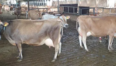 2B70A29B 3283 498D AC67 98E6C8E86979