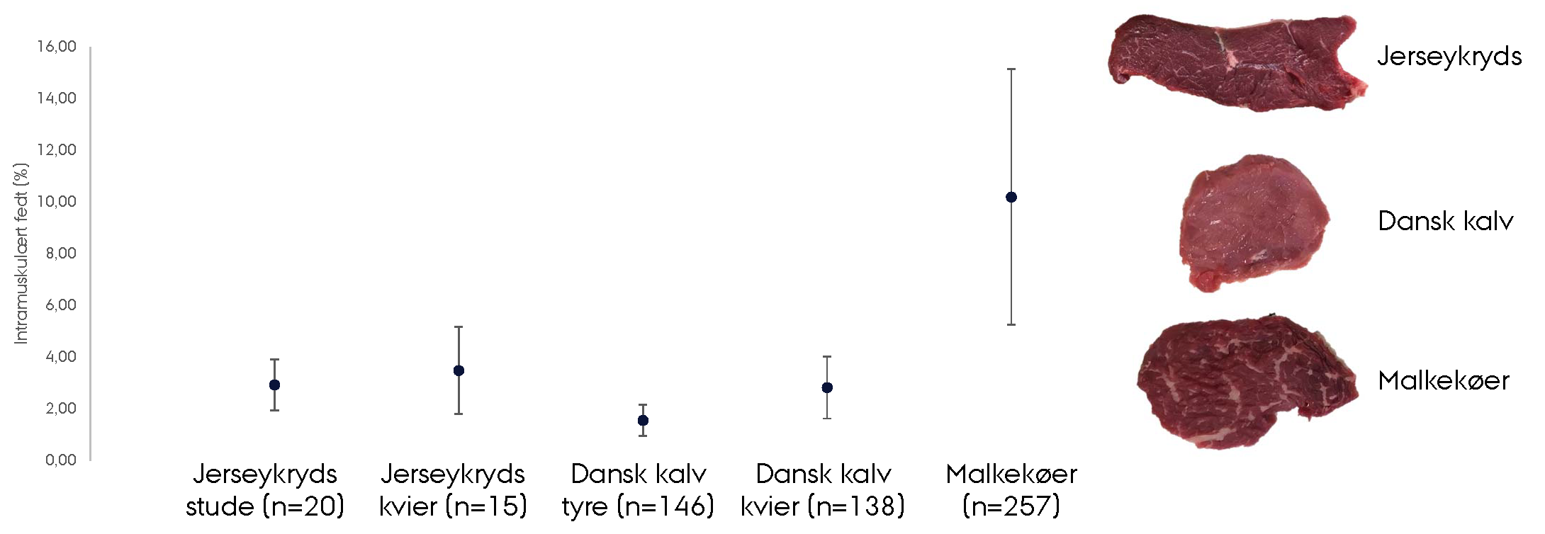 Slide I Høj Opløsning (2)