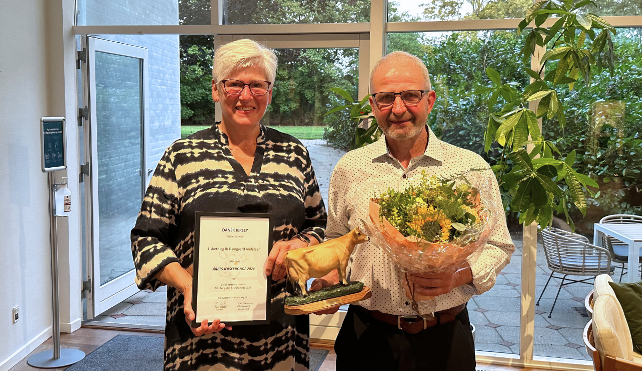Årets Jersey Bonde 2024 (1)