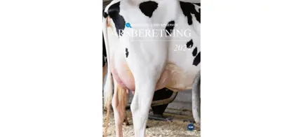 Forsiden Af Årsberetning 2024