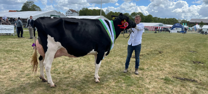 Miss Sønderjylland På Det Sønderjyske Fællesskue
