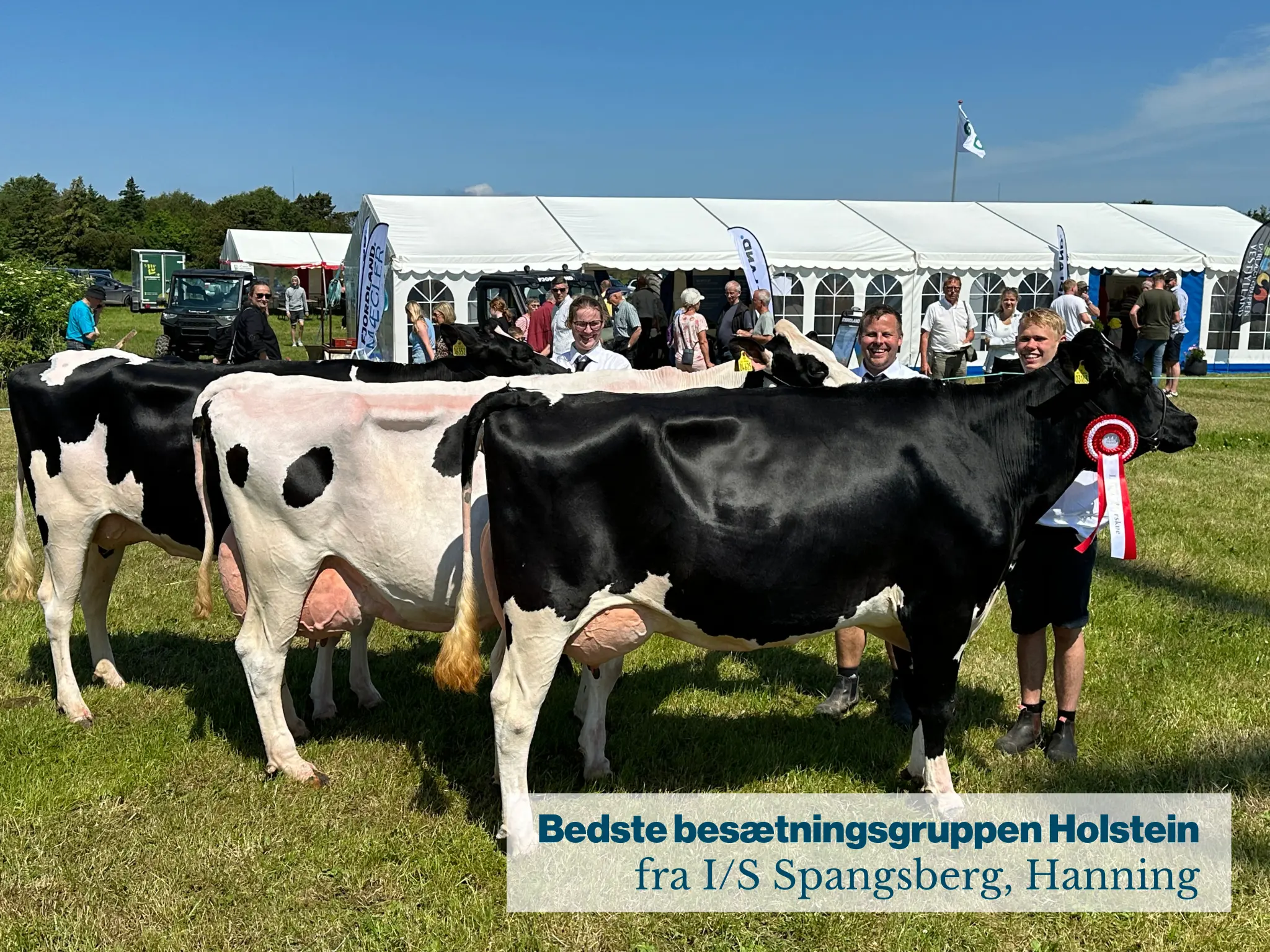 Bedte Besætningsgruppe Holstein