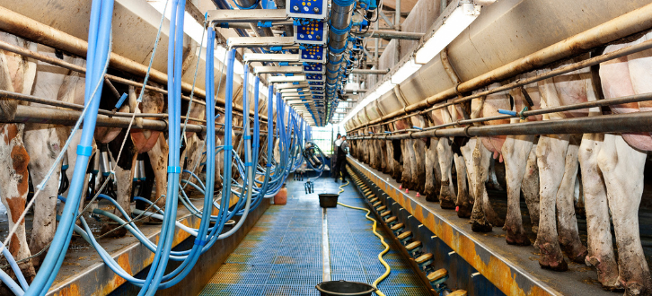 Untitled Design (33)