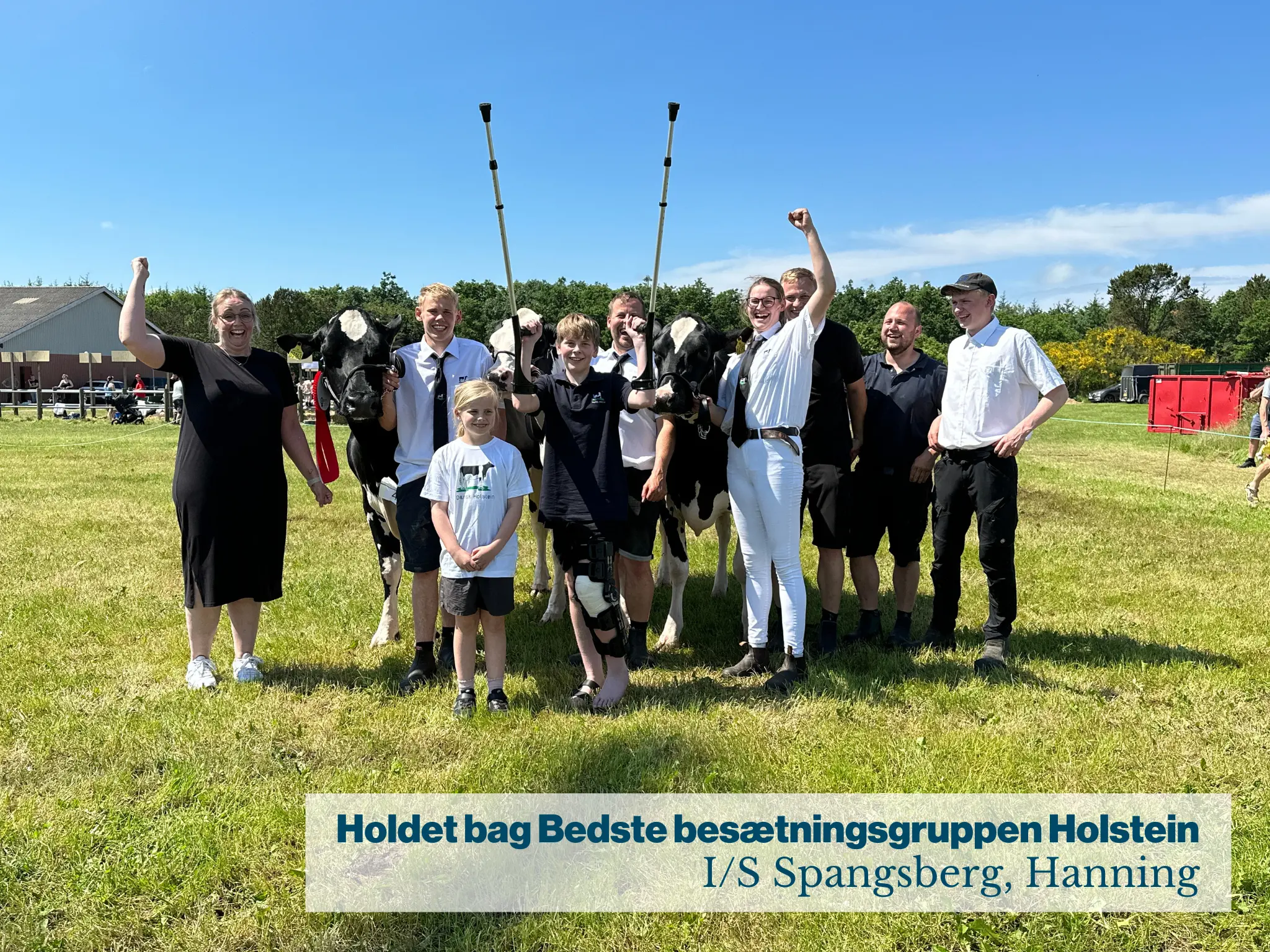 Holdet Bag Bedste Besætningsgruppe Holstein