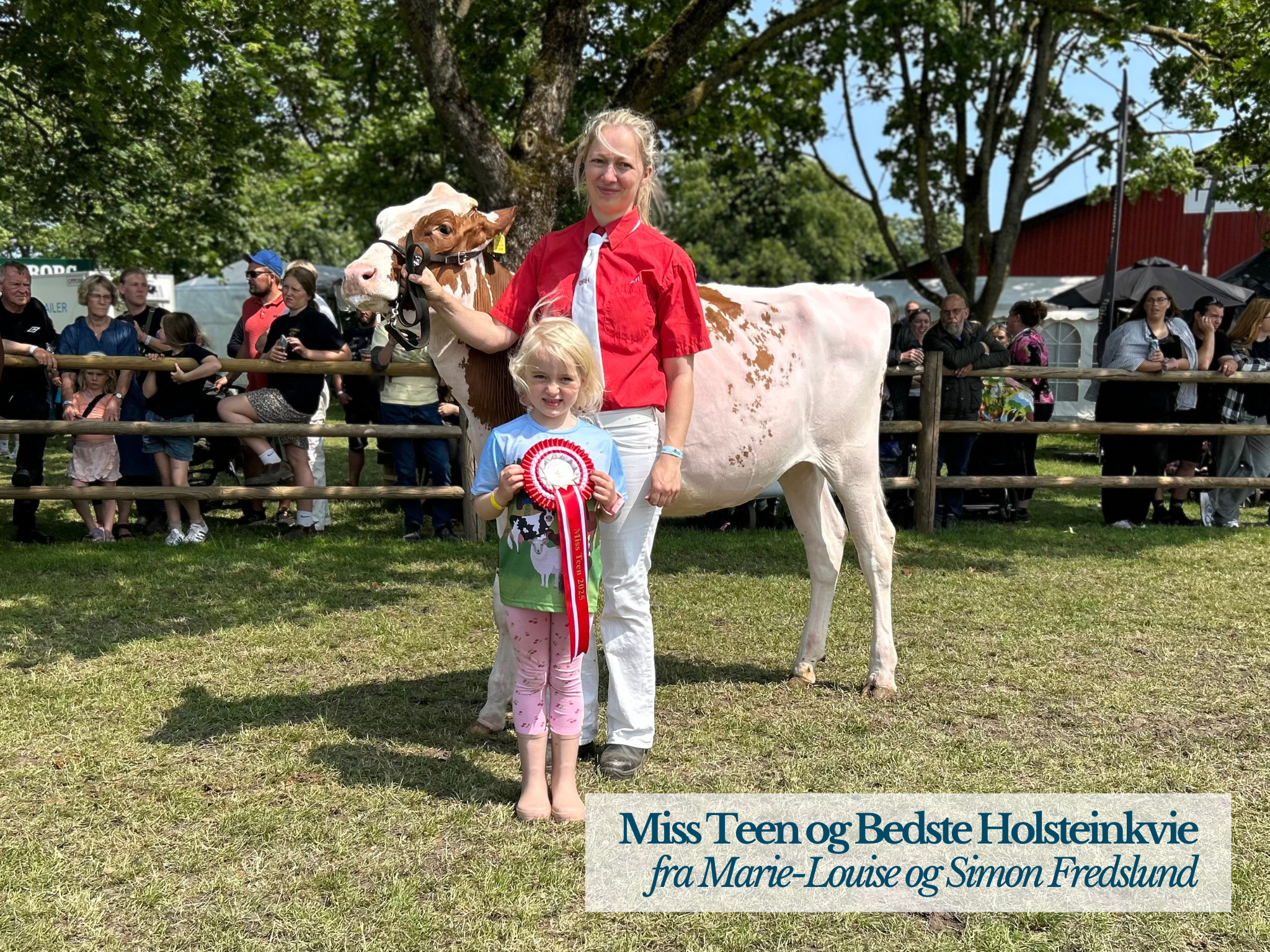 Miss Teen Og Bedste Holsteinkvie