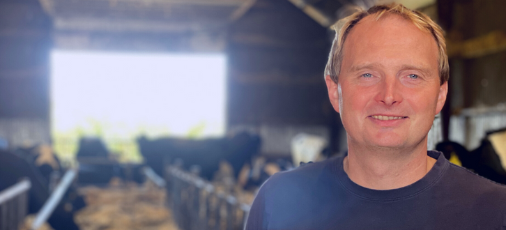 Billede Til Reference