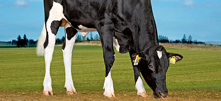 VH Nader (Norland) Grazing Srgb Web Oversigt