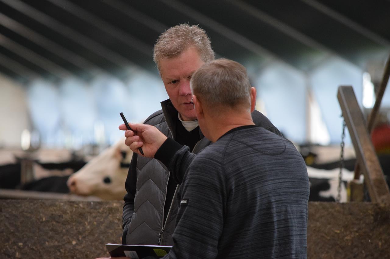 Slut Med Tilfældig Separation Dsc 0448