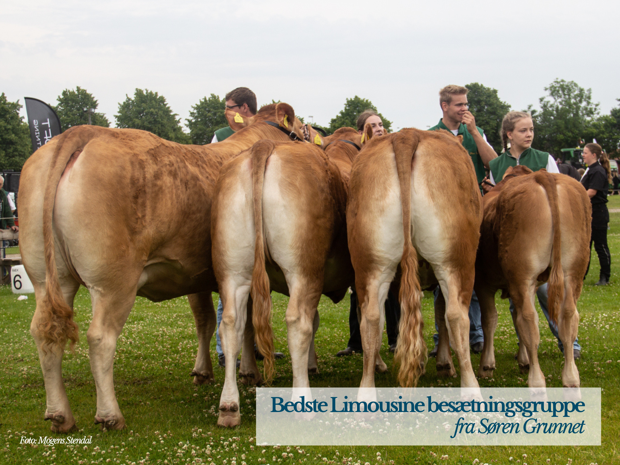 Bedste Limousine Besætningsgruppe Fra Søren Grunnet.