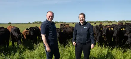 Da Det Gik Op For Mig Entry