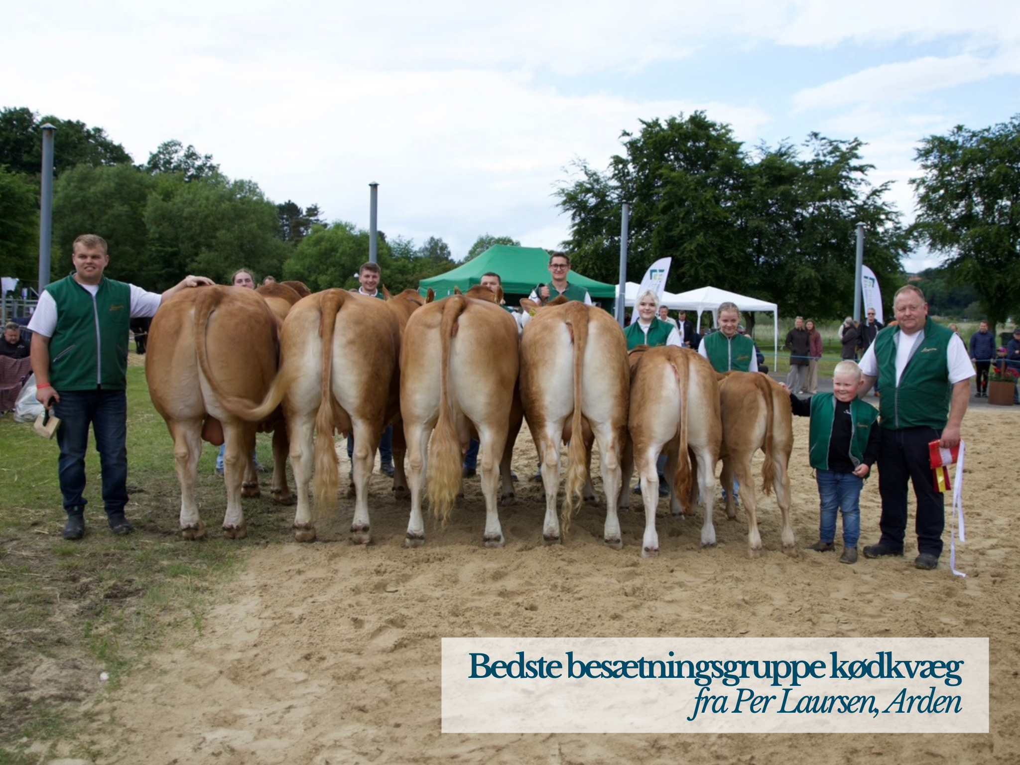 Bedste Besætningsgruppe Kødkvæg, Hobro Dyrskue