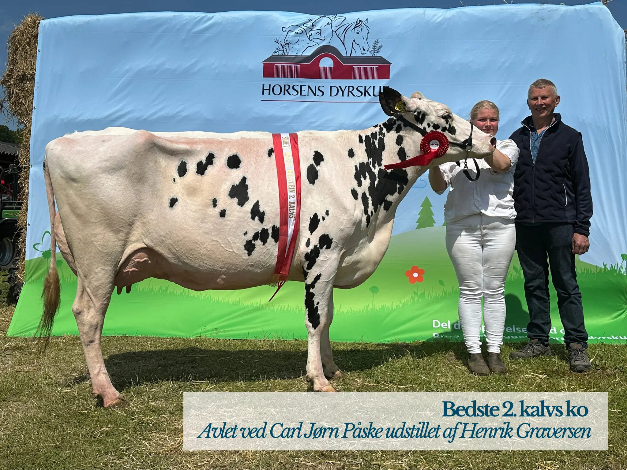 Bedste 2. Kalvs Ko Avlet Ved Carl Jørn Påske Udstillet Af Henrik Graversen