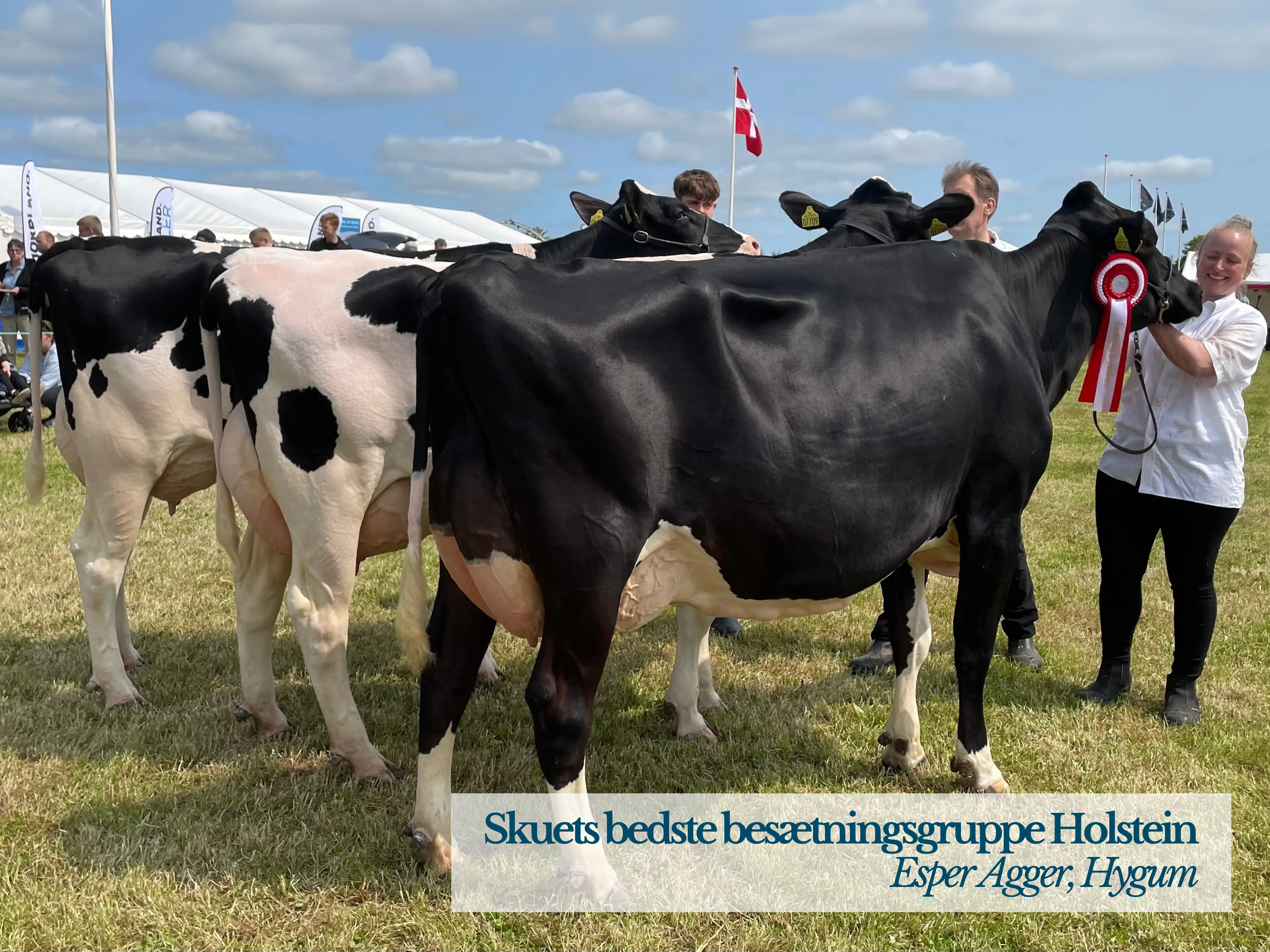 Skuets Bedste Besætningsgruppe Holstein Esper Agger, Hygum