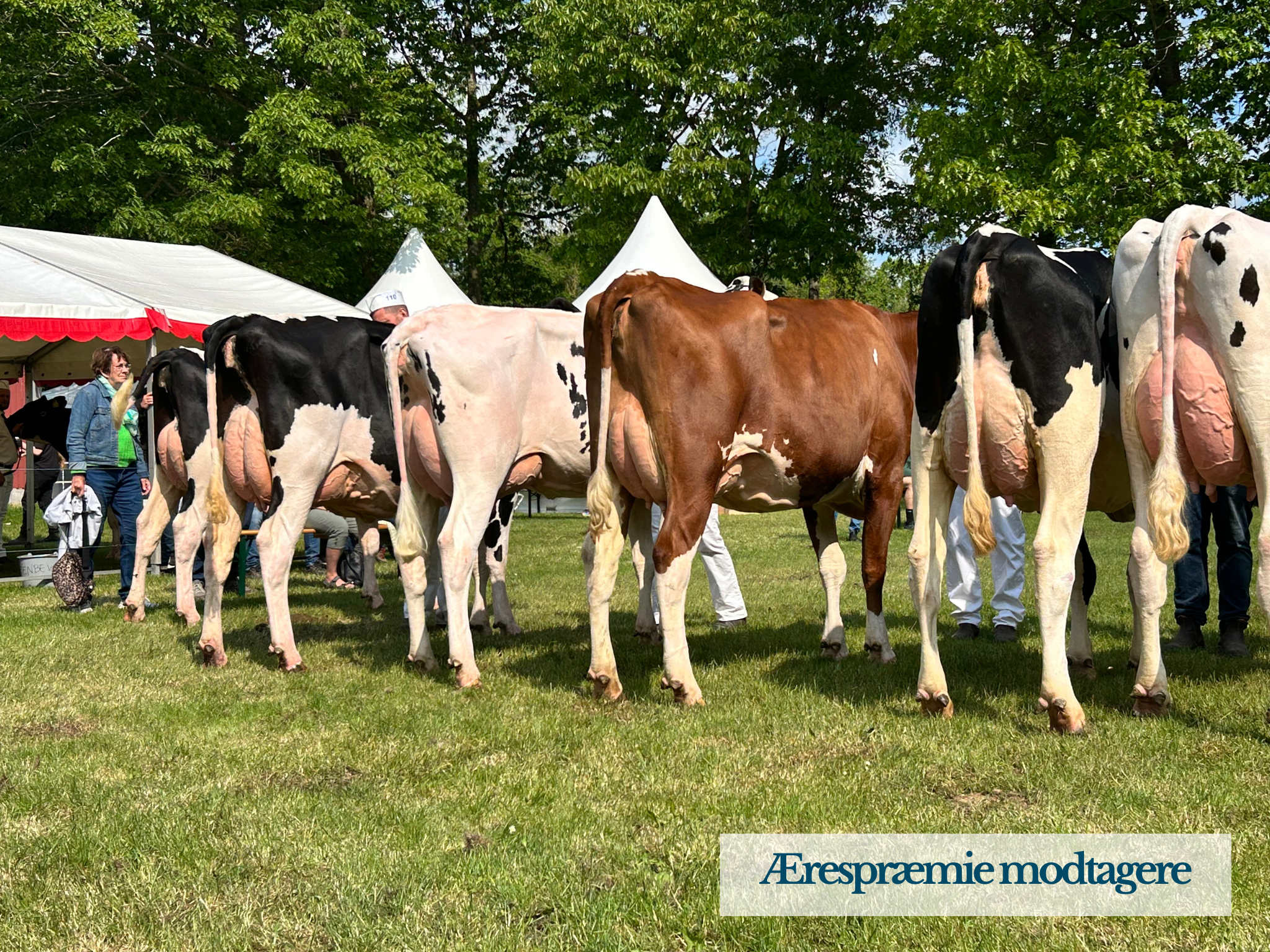 Ærespræmiemodtagere3