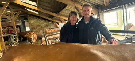 Sander And Rita Paulussen Bring New Life To An Old Barn