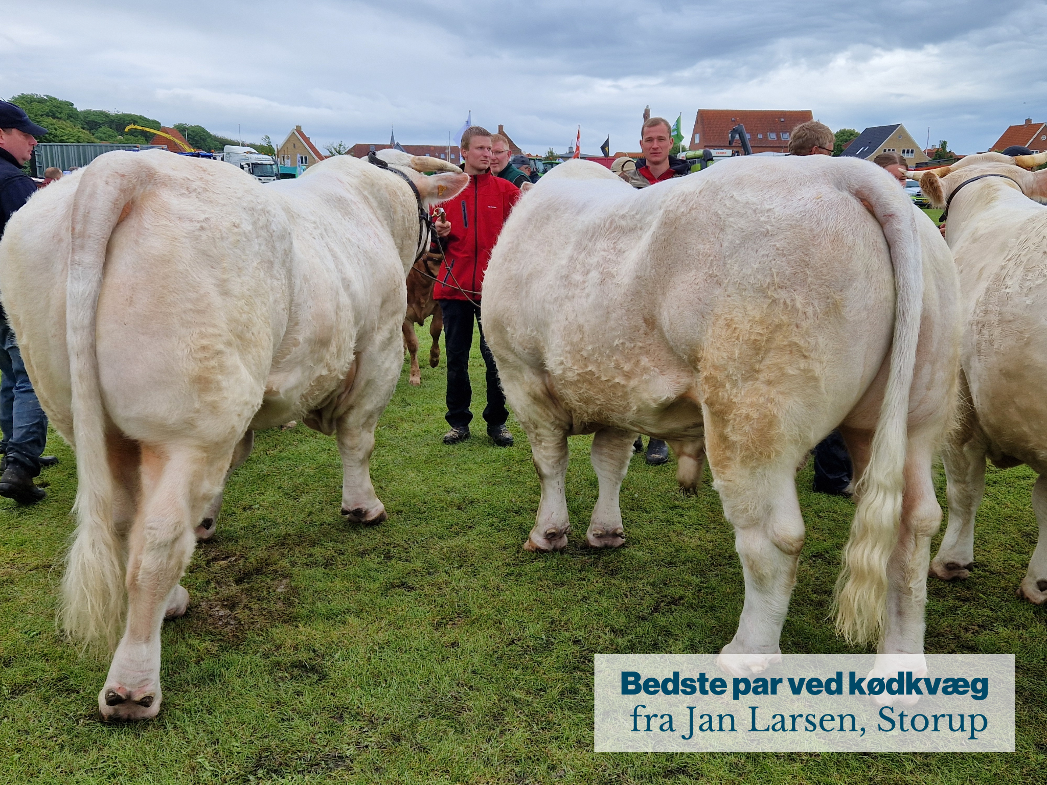 Bedste Par Ved Kødkvæg