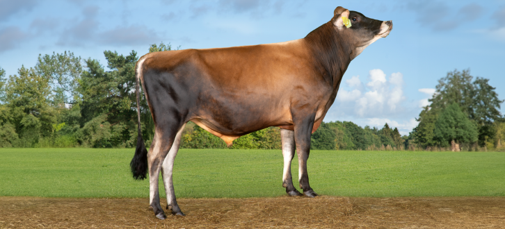 VJ Soby I Naturlige Omgivelser