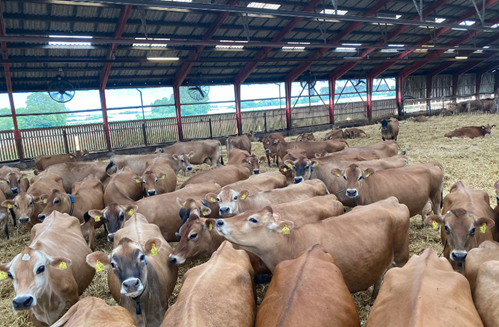 Copy Of Billed Til Hero Spot