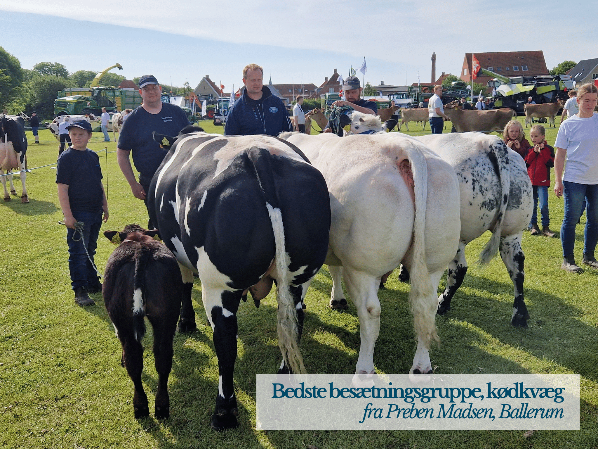 Bedste Besætningsgruppe Kødkvæg, Thy Mors Dyrskue 2025