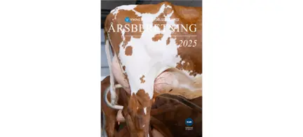 Årsberetning 2025 Forsiden