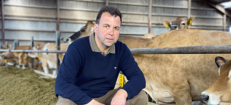 IMG 3995 Web Oversigt