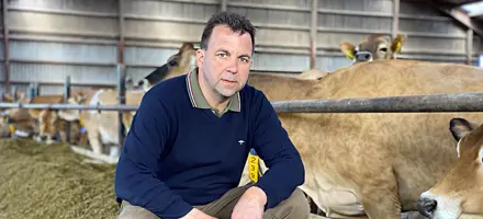 IMG 3995 Web Oversigt