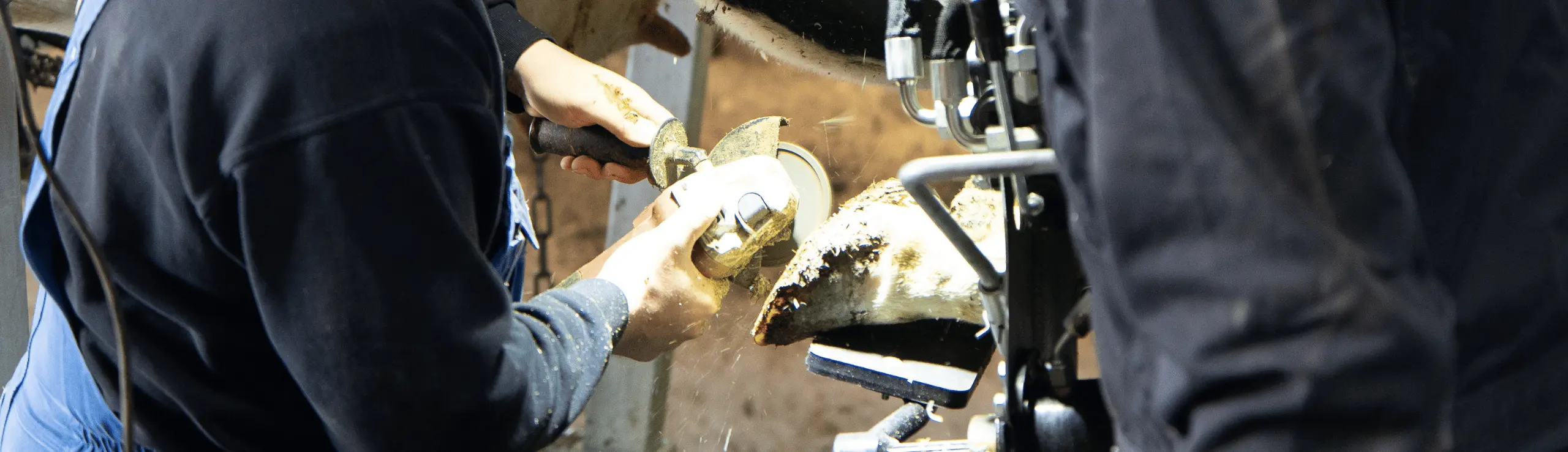 Klovbeskæring Lundbæk Landbrugsskole