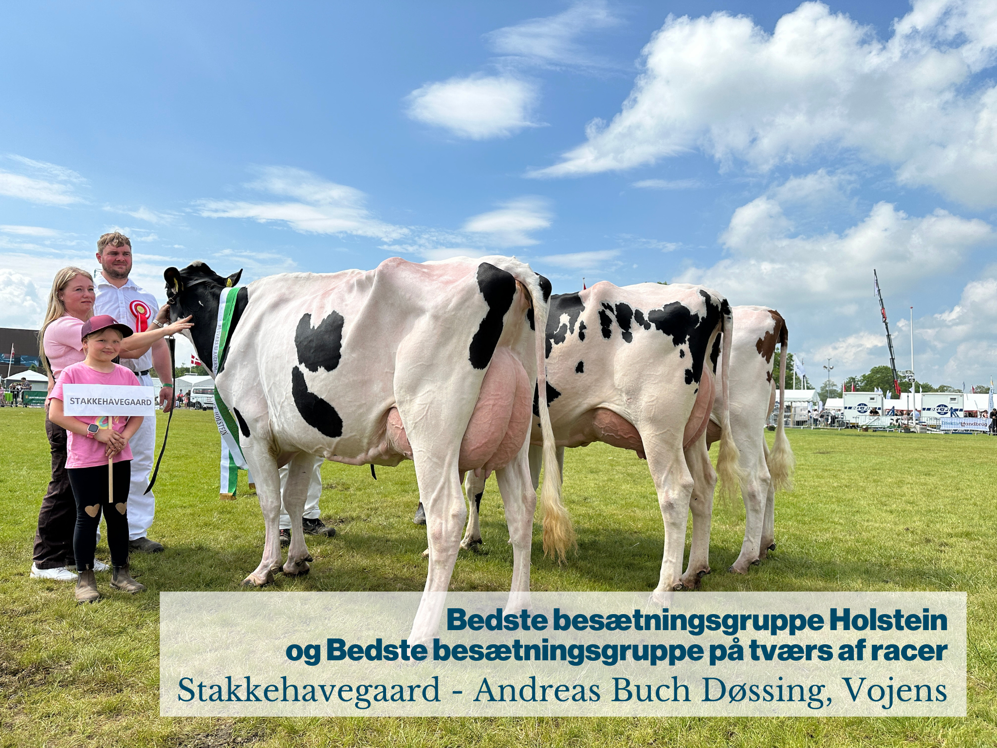 Bedste besætningsgruppe Holstein