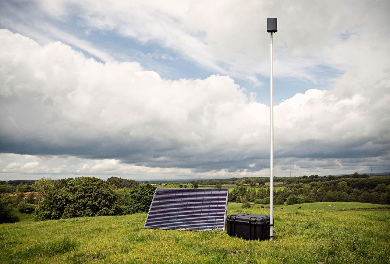 Sænk Alder Ved Første Kælvning 152A4382 Srgb Web