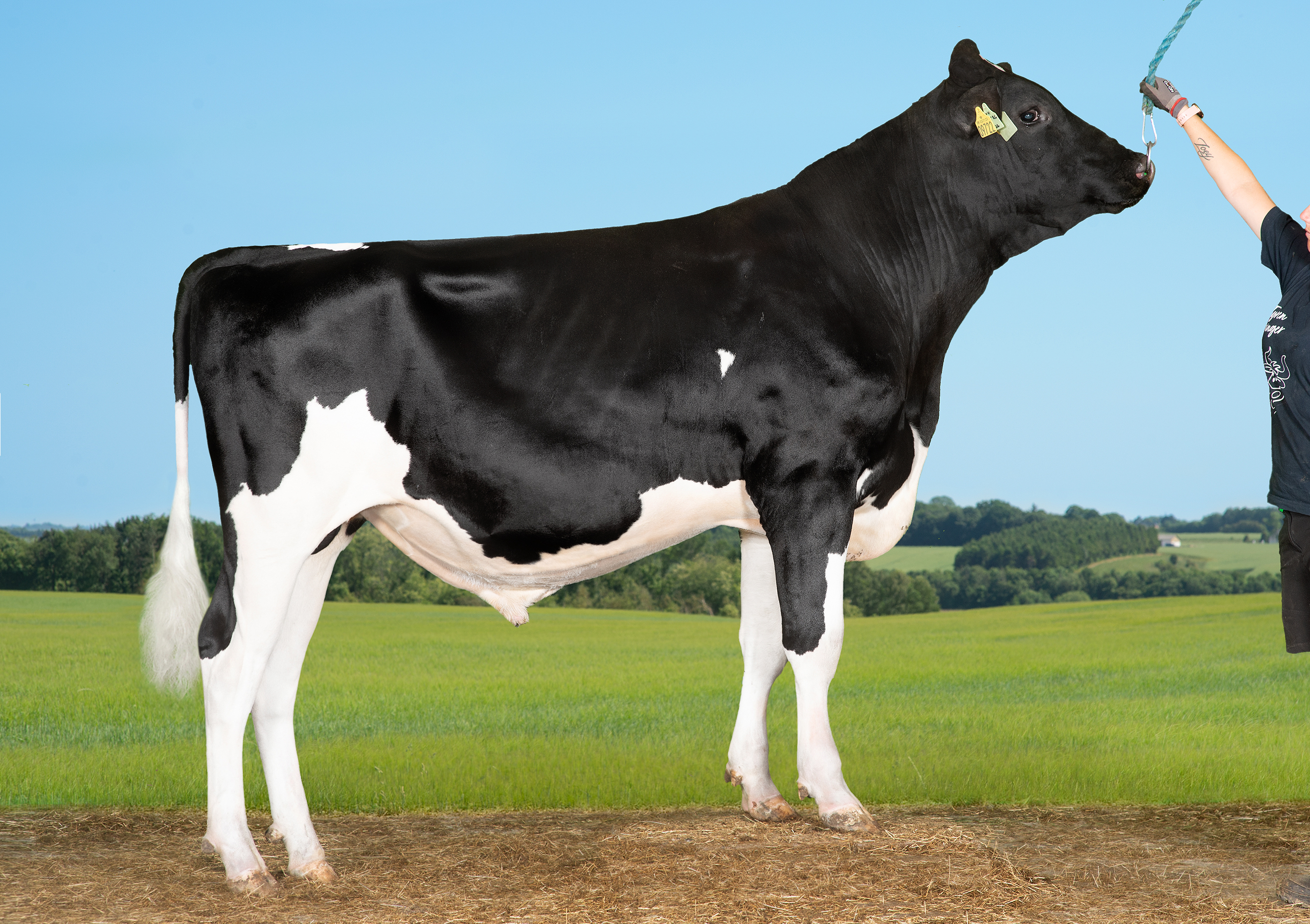 VH Coltrc (VH Cronos)