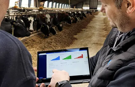 Viking Dashboard