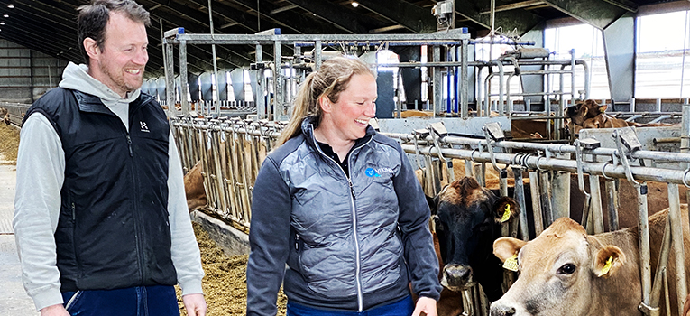 IMG 1996 Srgb Web Oversigt