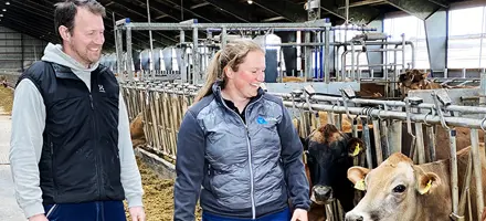 IMG 1996 Srgb Web Oversigt