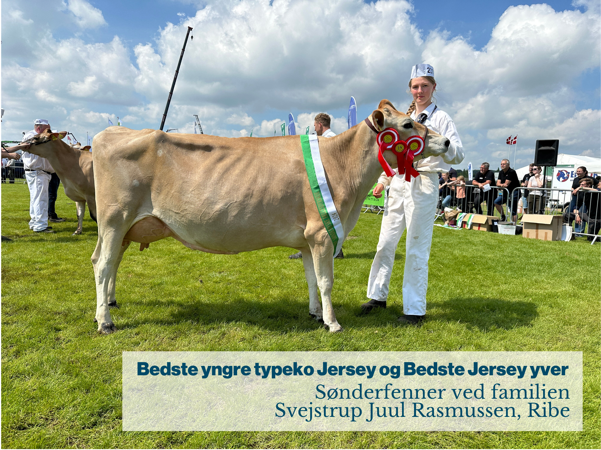 Bedste yngre typeko Jersey