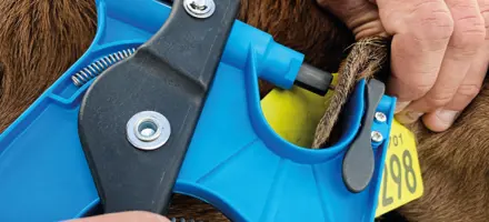 Genomisk test, der tages med øretang