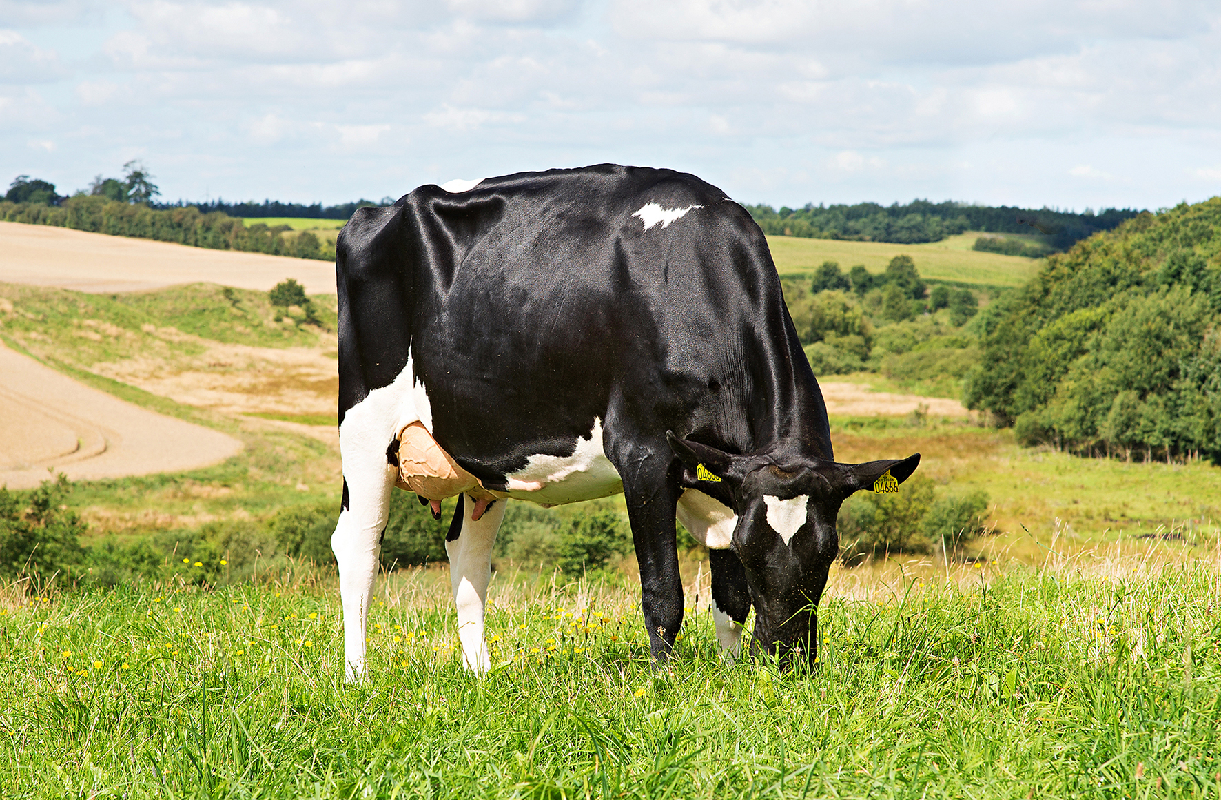 Vh Grafit Datter No 32008 4666 From Oluf Bøgh Hobro Scenic1 Srgb Web