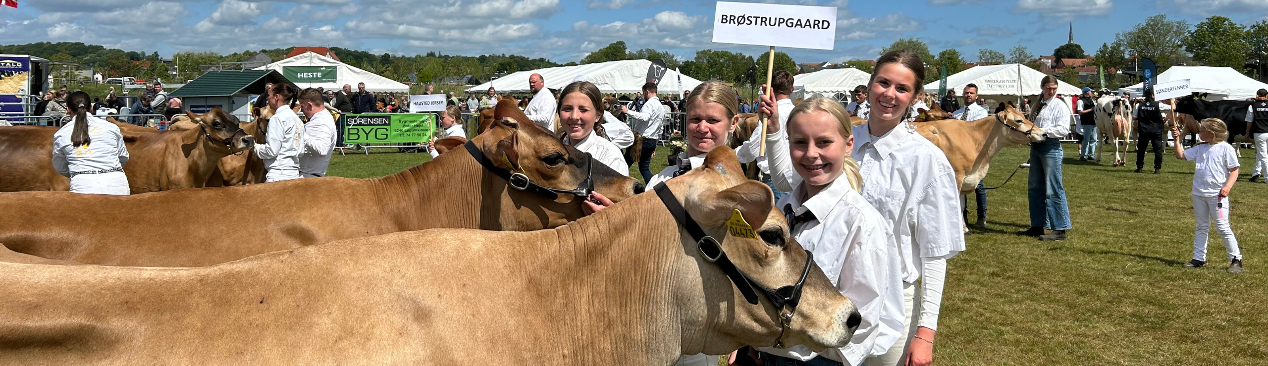 Stemning Fra Det Sønderjyske Fællesskue