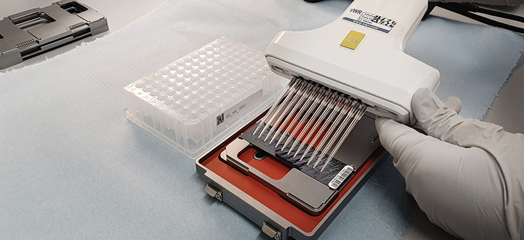 20200805 124948 Mini