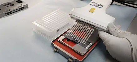 20200805 124948 Mini