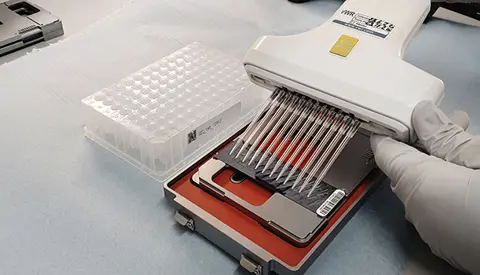 20200805 124948 Mini