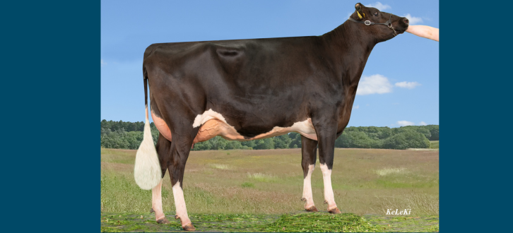 Article Entry Spotreference Image (726X330 Px) (2) (1)