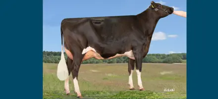 Article Entry Spotreference Image (726X330 Px) (2) (1)