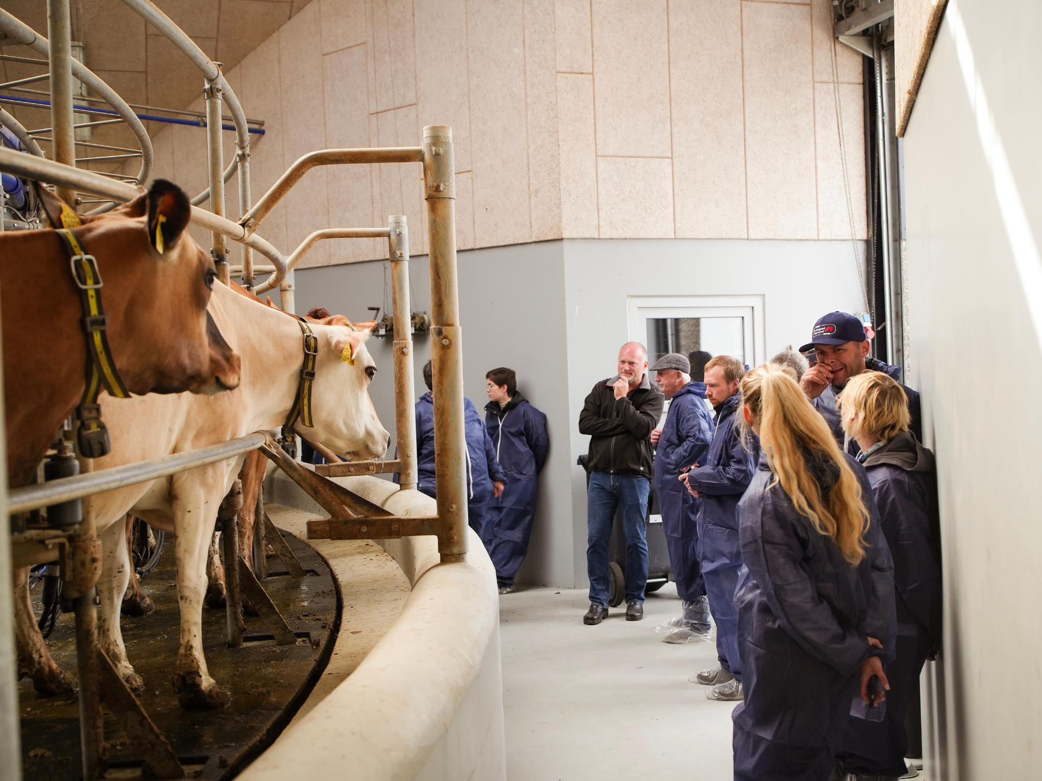 Jersey Verdenskongres 48