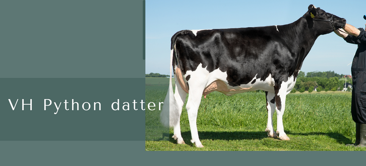 ARTICLE ENTRY TYR (8)