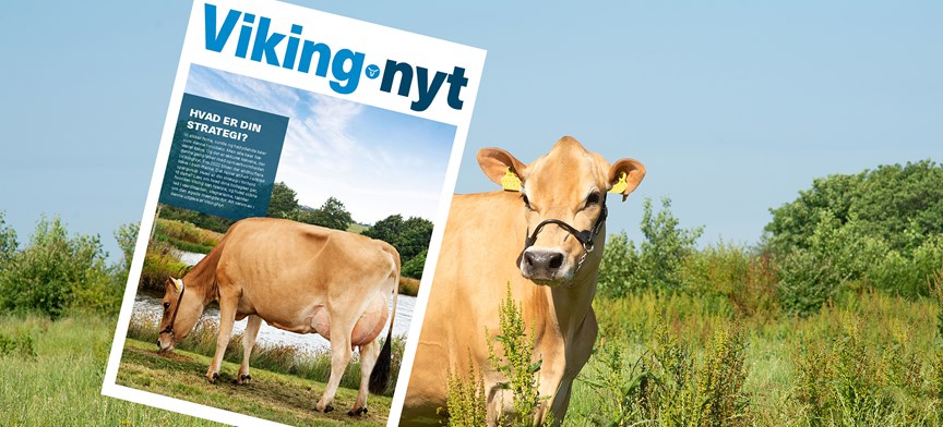 Vikingnyt Februar 2021